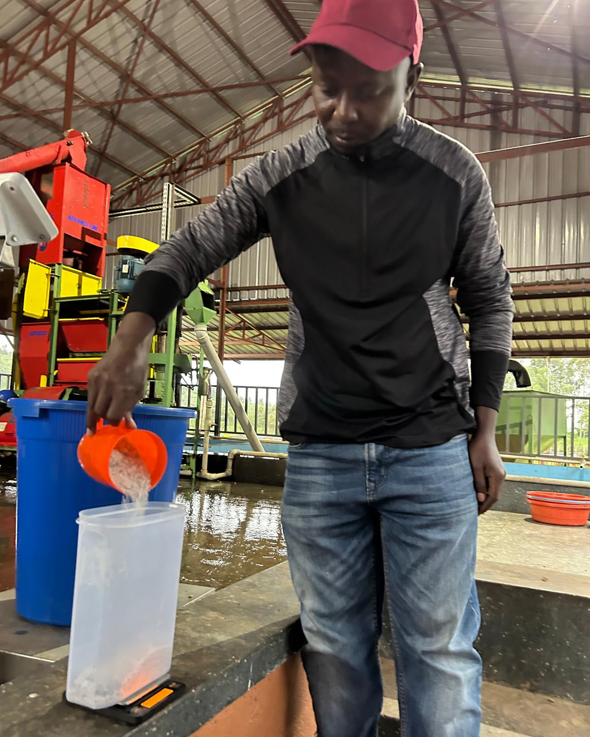 Uganda Bunyangabu Lactic Fermentation