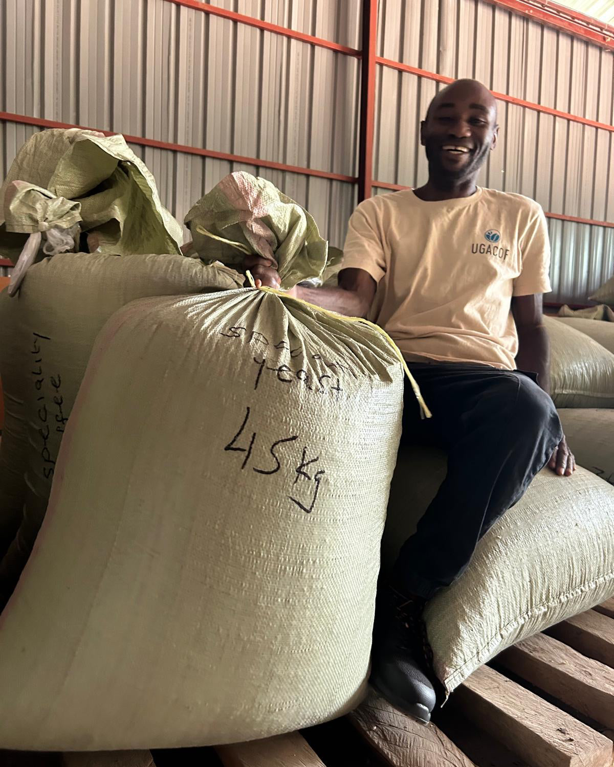 Uganda Bunyangabu Lactic Fermentation