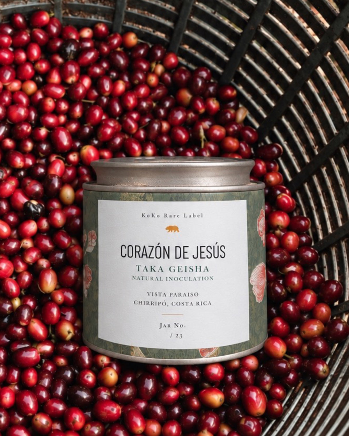 Corazón de Jesús Taka Geisha Natural Inoculation