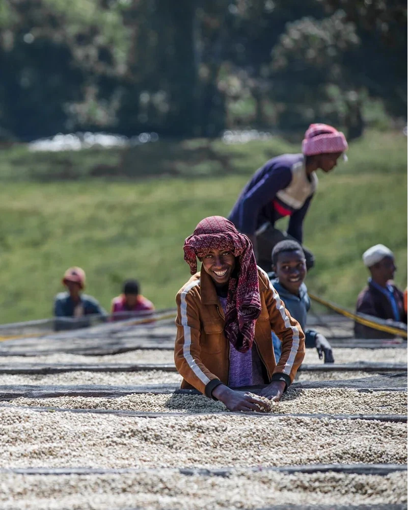 Ethiopia Riripa Natural GR1