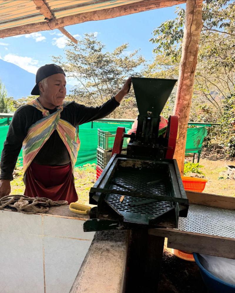 Peru Finca Mesapata Red Bourbon