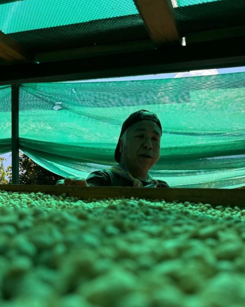 Peru Finca Mesapata Red Bourbon