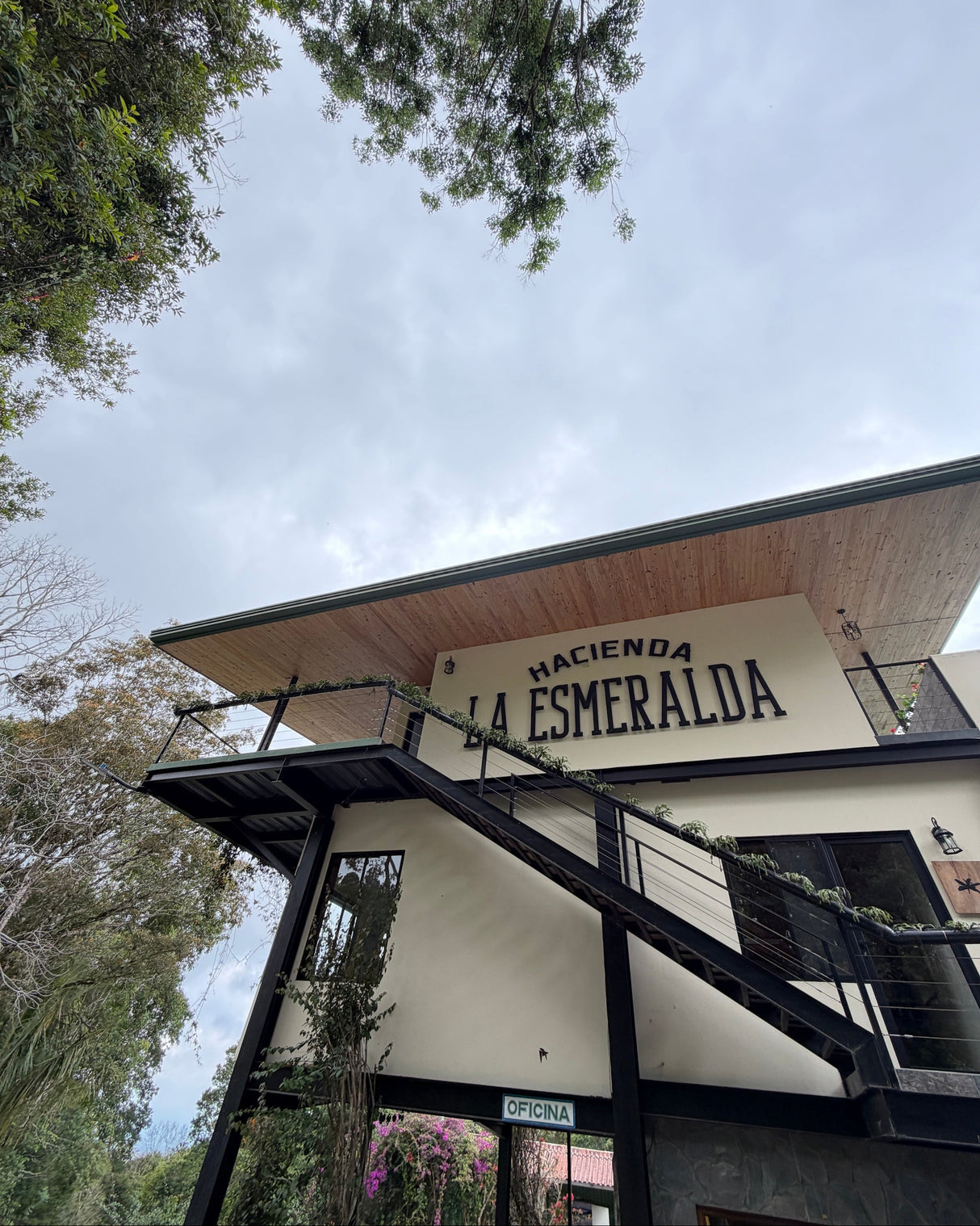 Hacienda La Esmeralda Geisha Natural