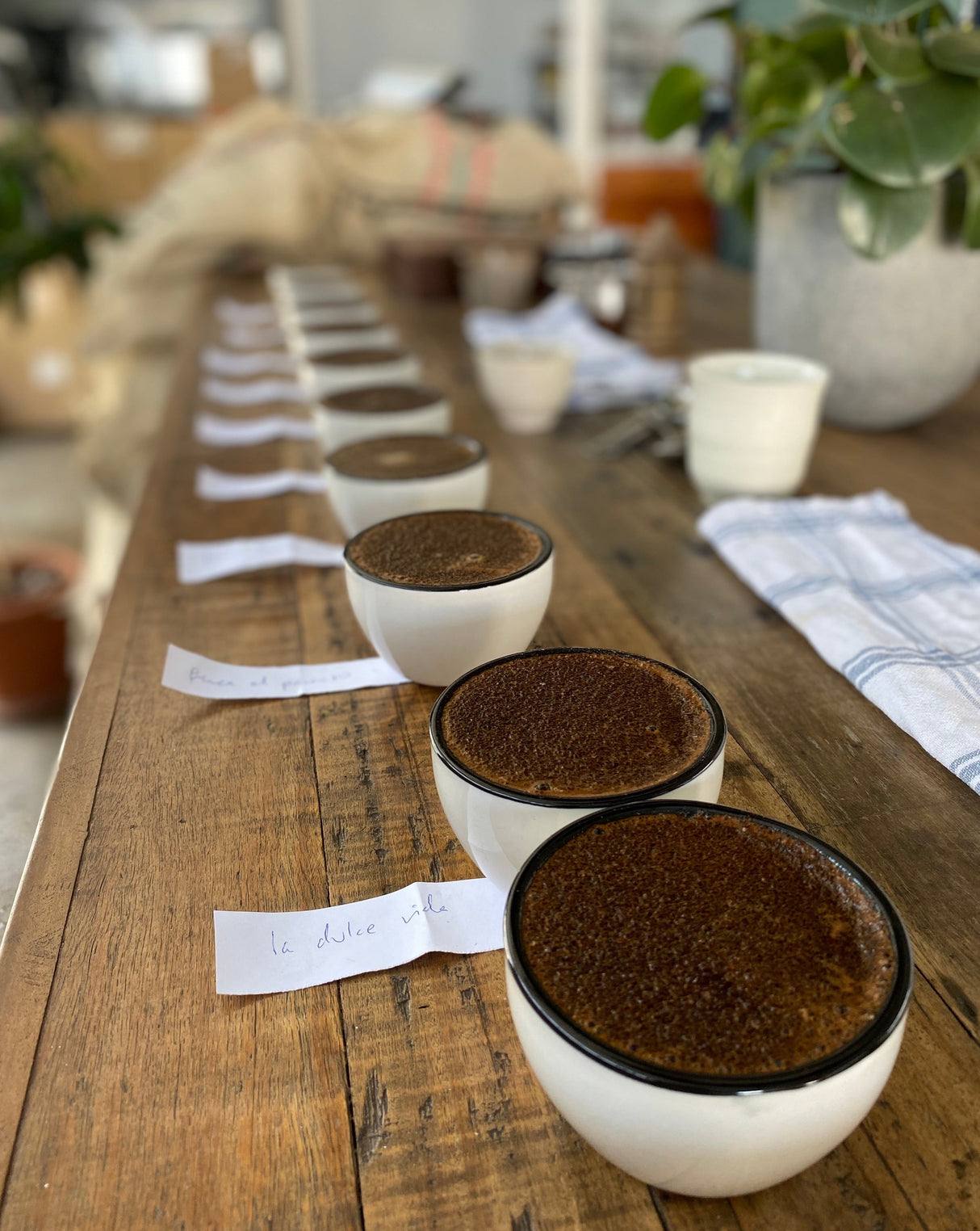 LA DULCE VIDA + SINGLE BUNDLE