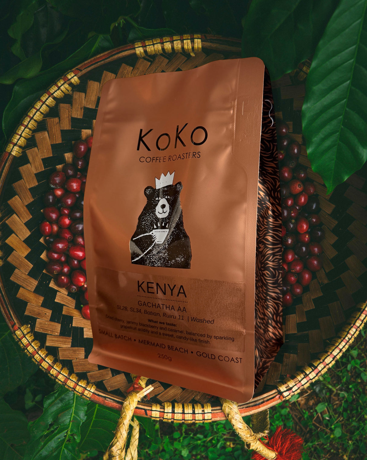 SINGLE ORIGIN FILTER BUNDLE