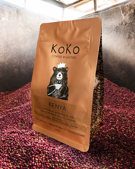 SINGLE ORIGIN FILTER BUNDLE