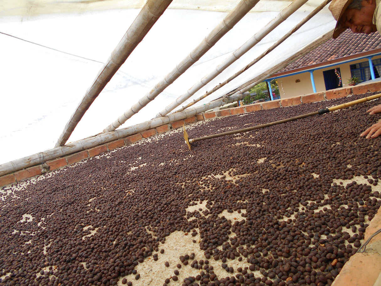 Finca Patio Bonito Special Selection Pairing