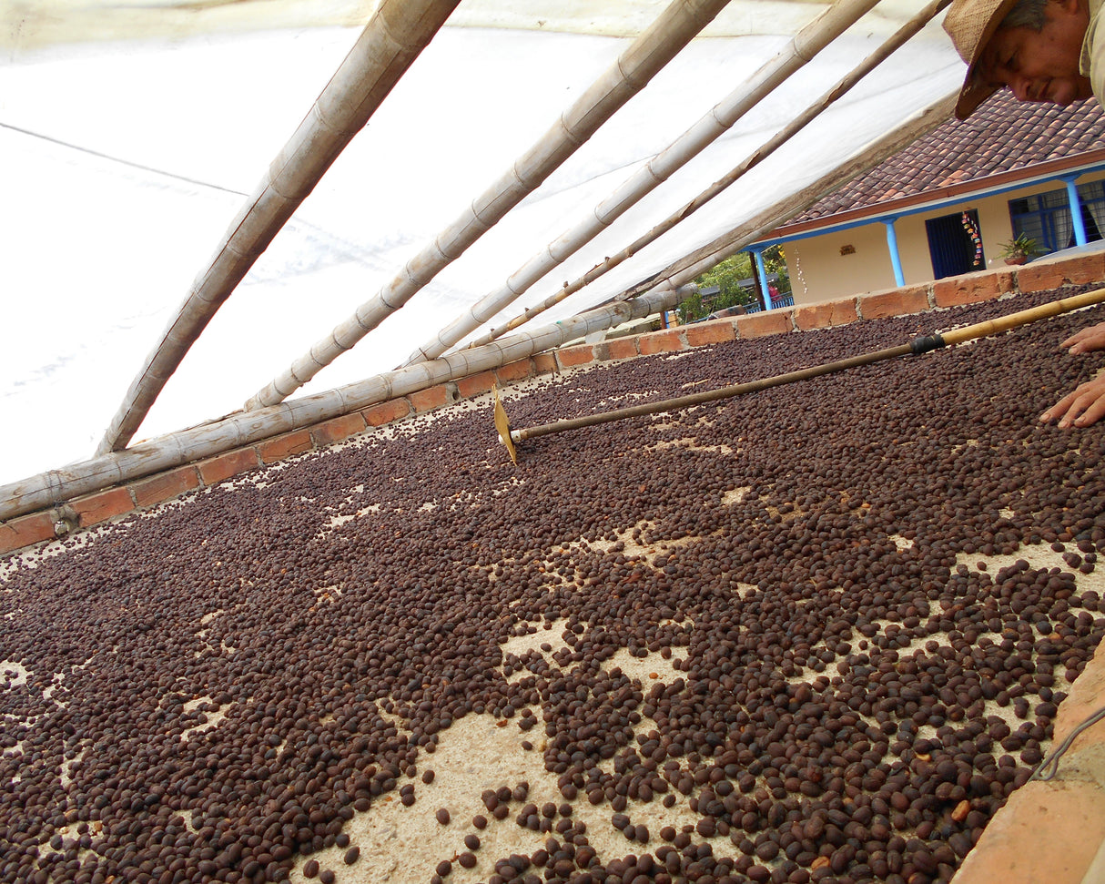 Wush Wush Natural Finca Patio Bonito Colombia