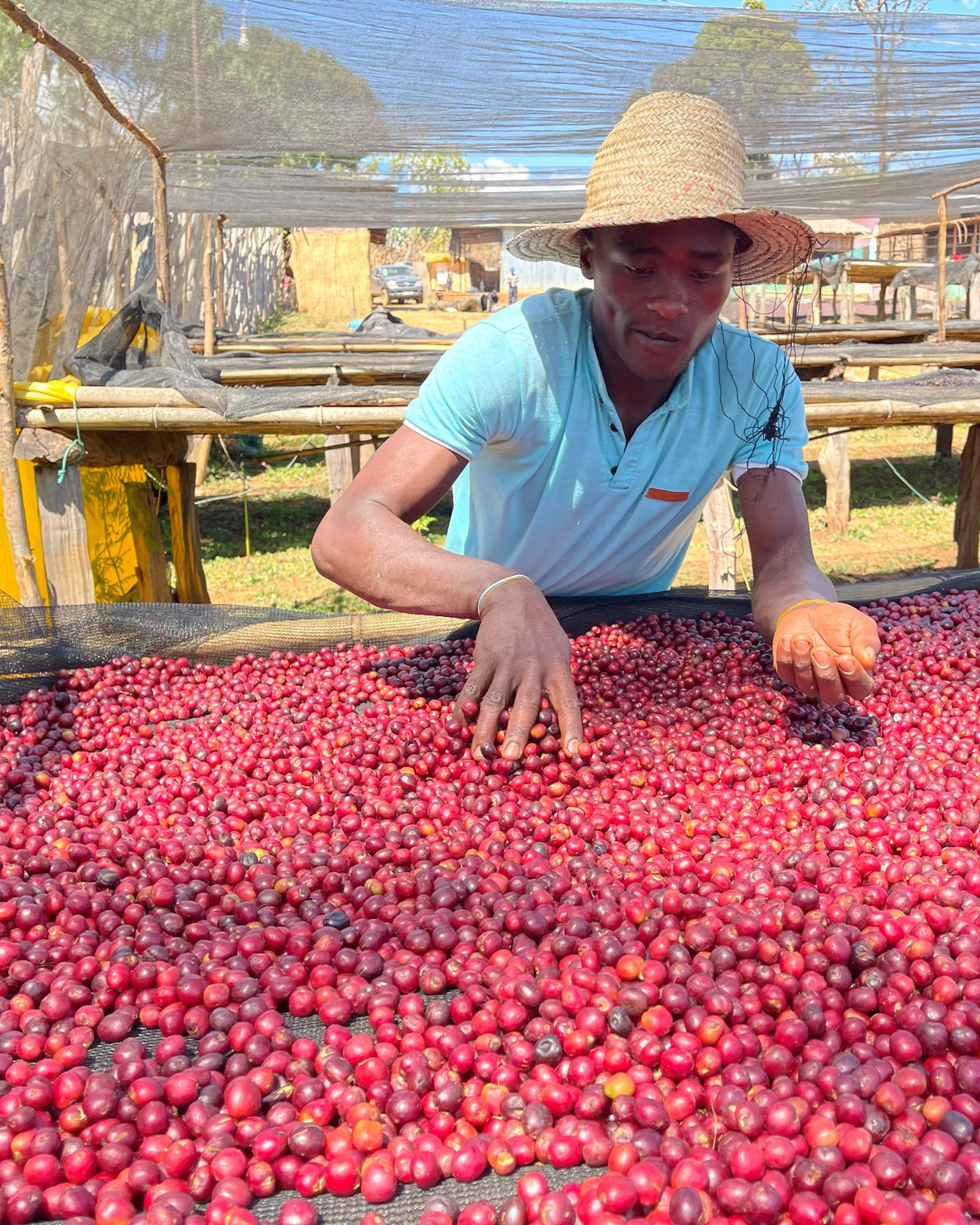 Ethiopia Riripa Natural GR1