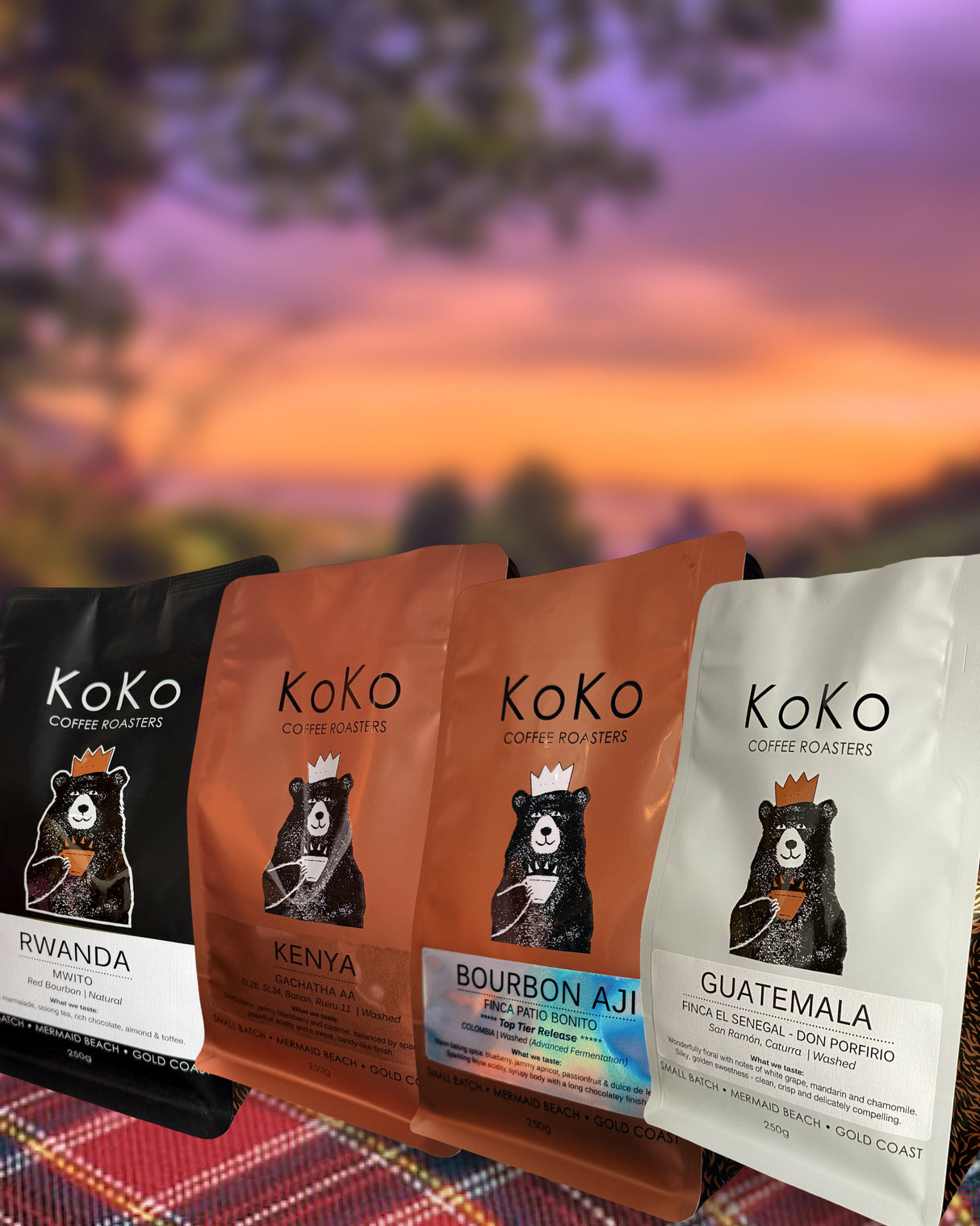SINGLE ORIGIN FILTER BUNDLE