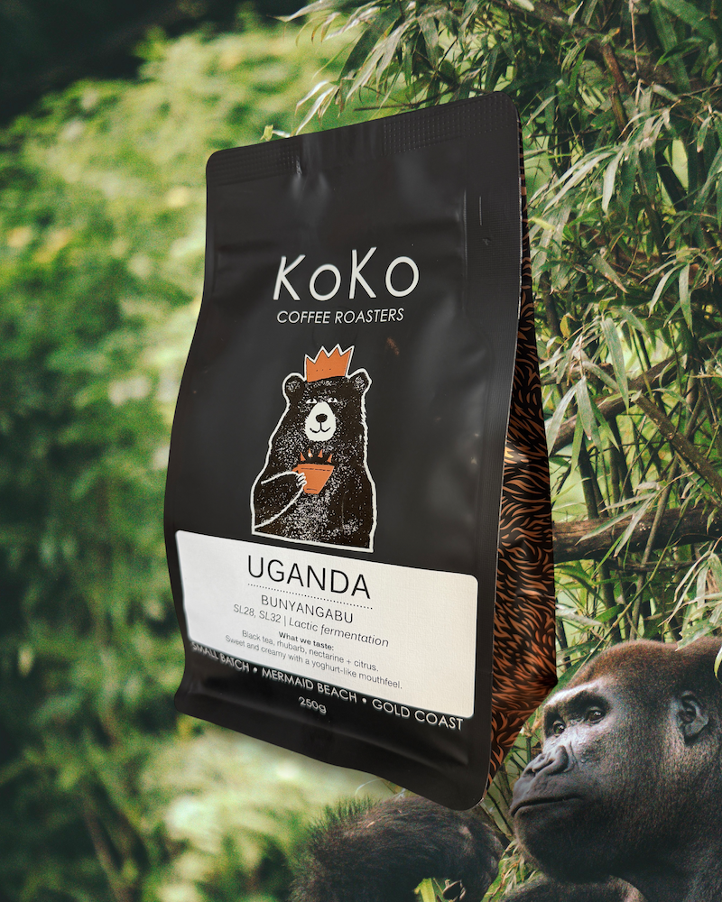 Uganda Bunyangabu Lactic Fermentation