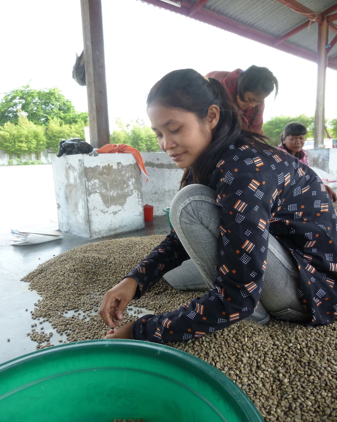 Sumatra Blue Bianca GR1