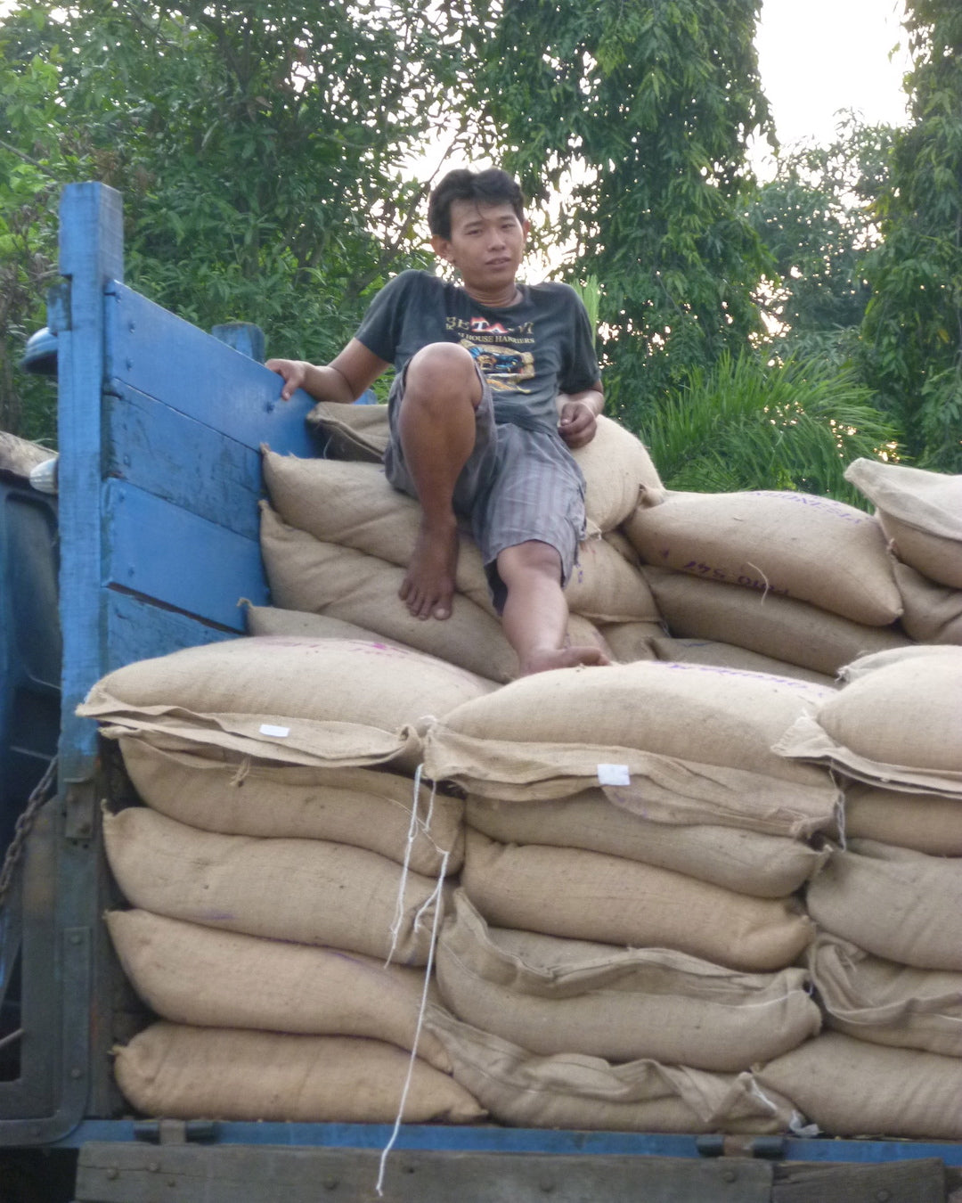 Sumatra Blue Bianca GR1