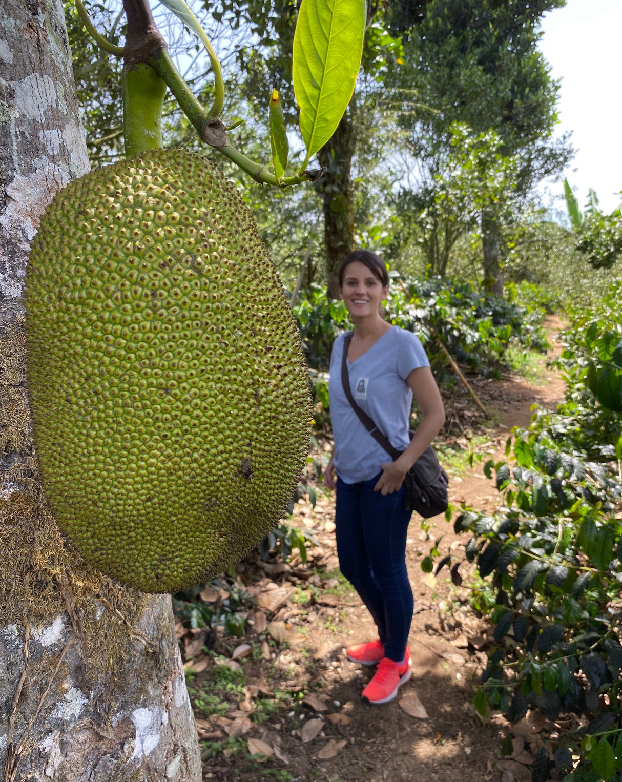 Bali Kintamani Natural CM
