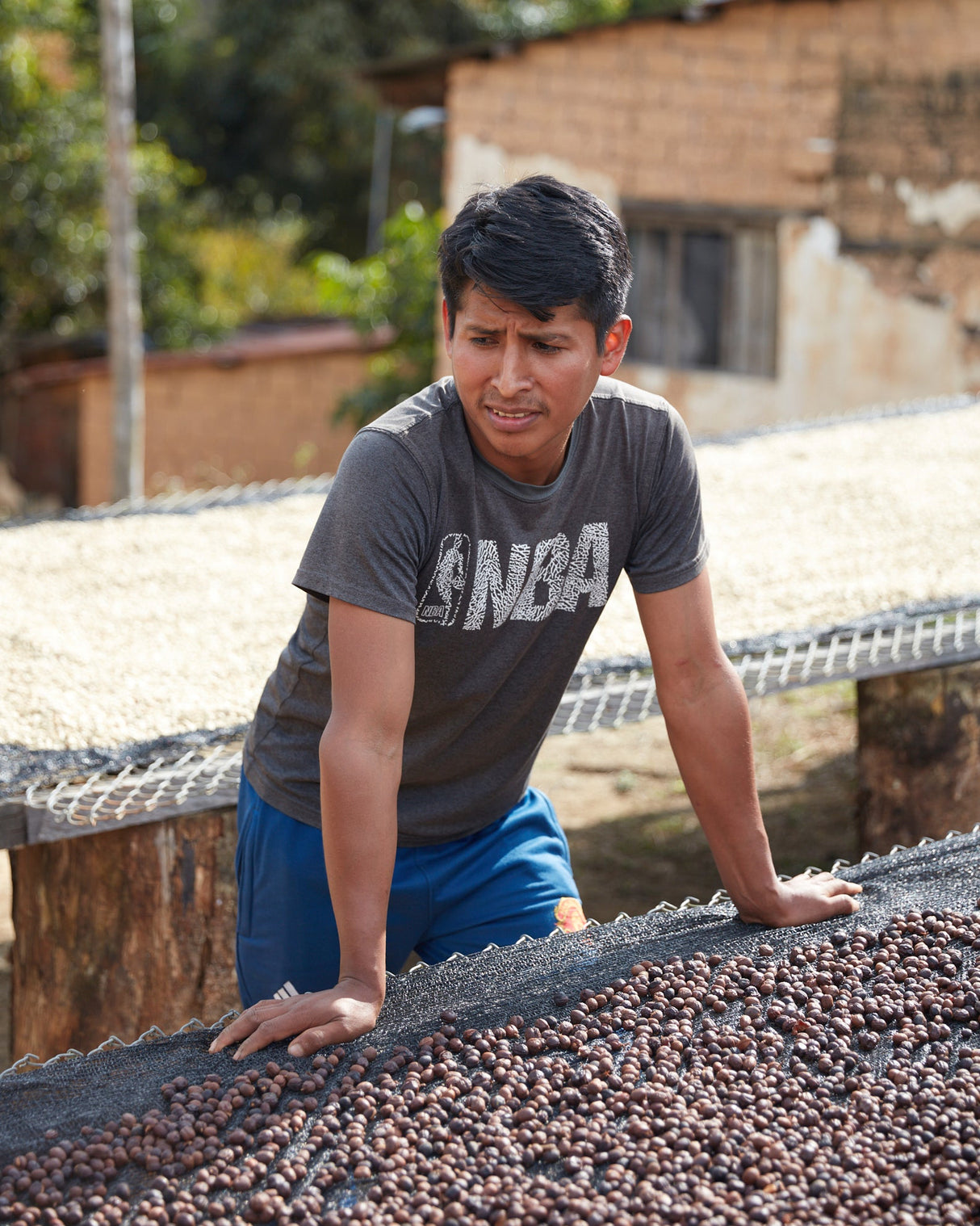Bolivia Finca El Mirador Pacamara Natural