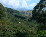 Costa Rica Finca Principe Azul Cerro San Luis