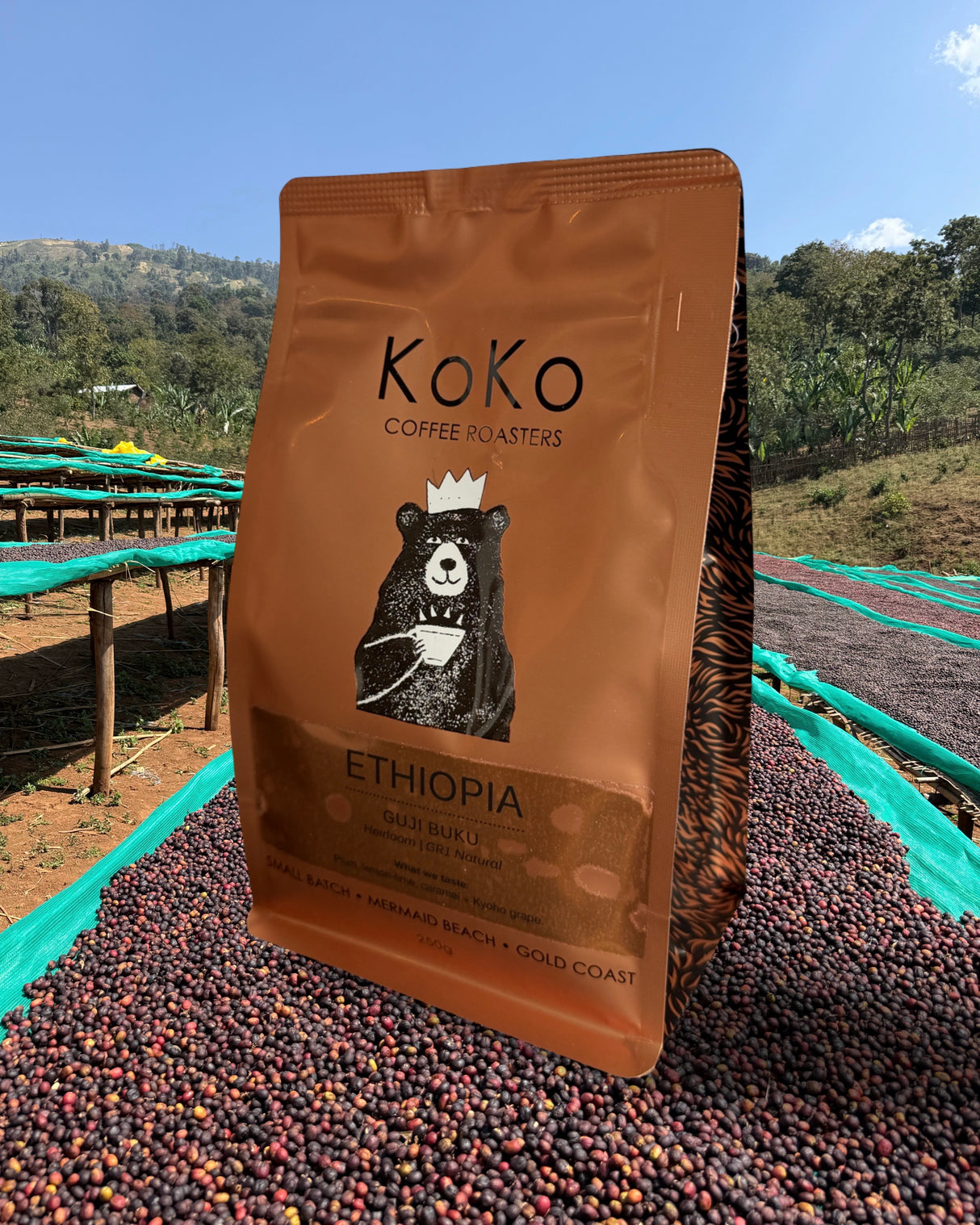 Ethiopia Guji Buku Natural GR1