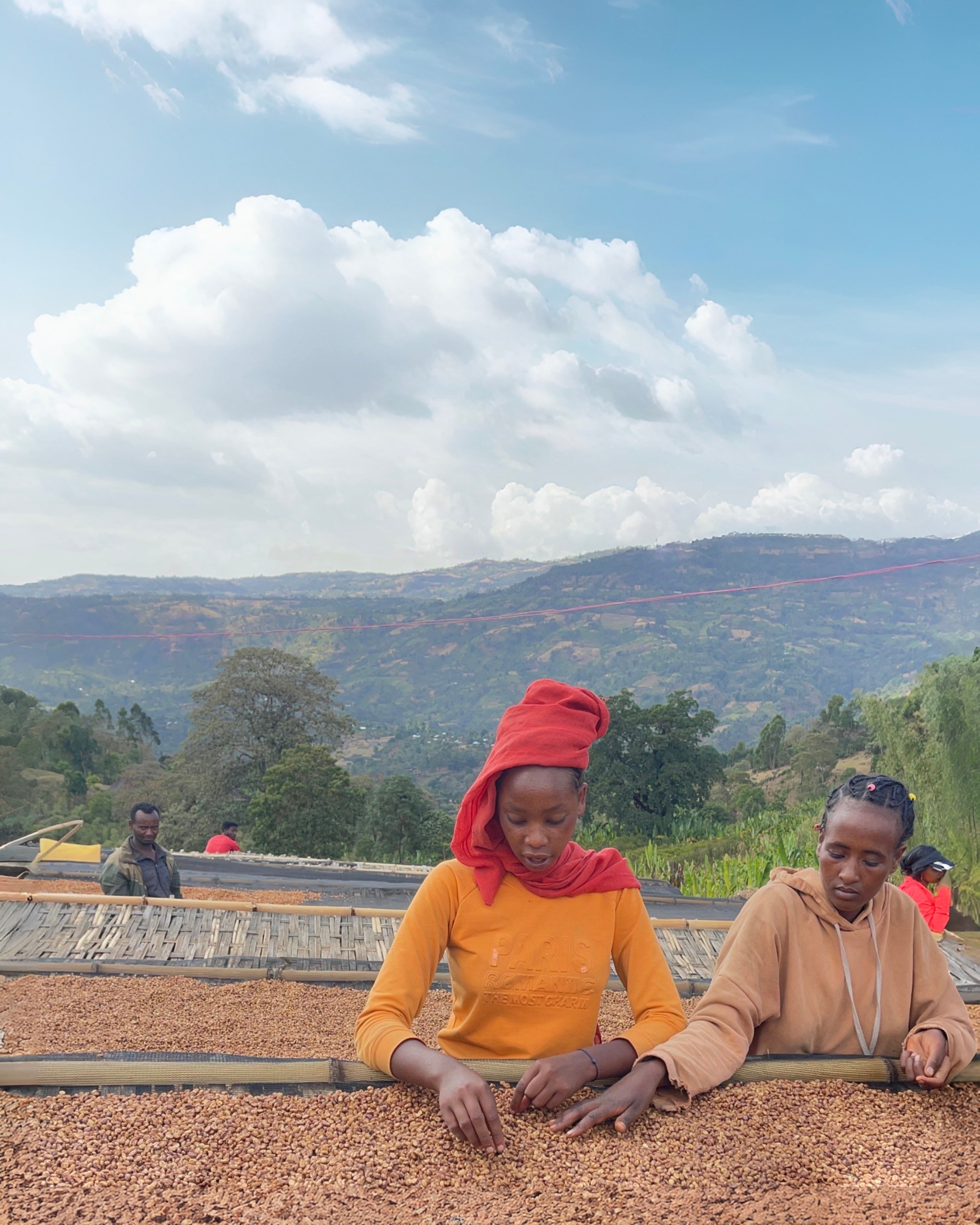 Ethiopia Kubi Red Honey – KoKo Coffee Roasters