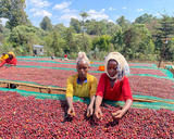 Ethiopia Raicha Idido Yirgacheffe