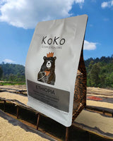 Ethiopia Raicha Idido Yirgacheffe