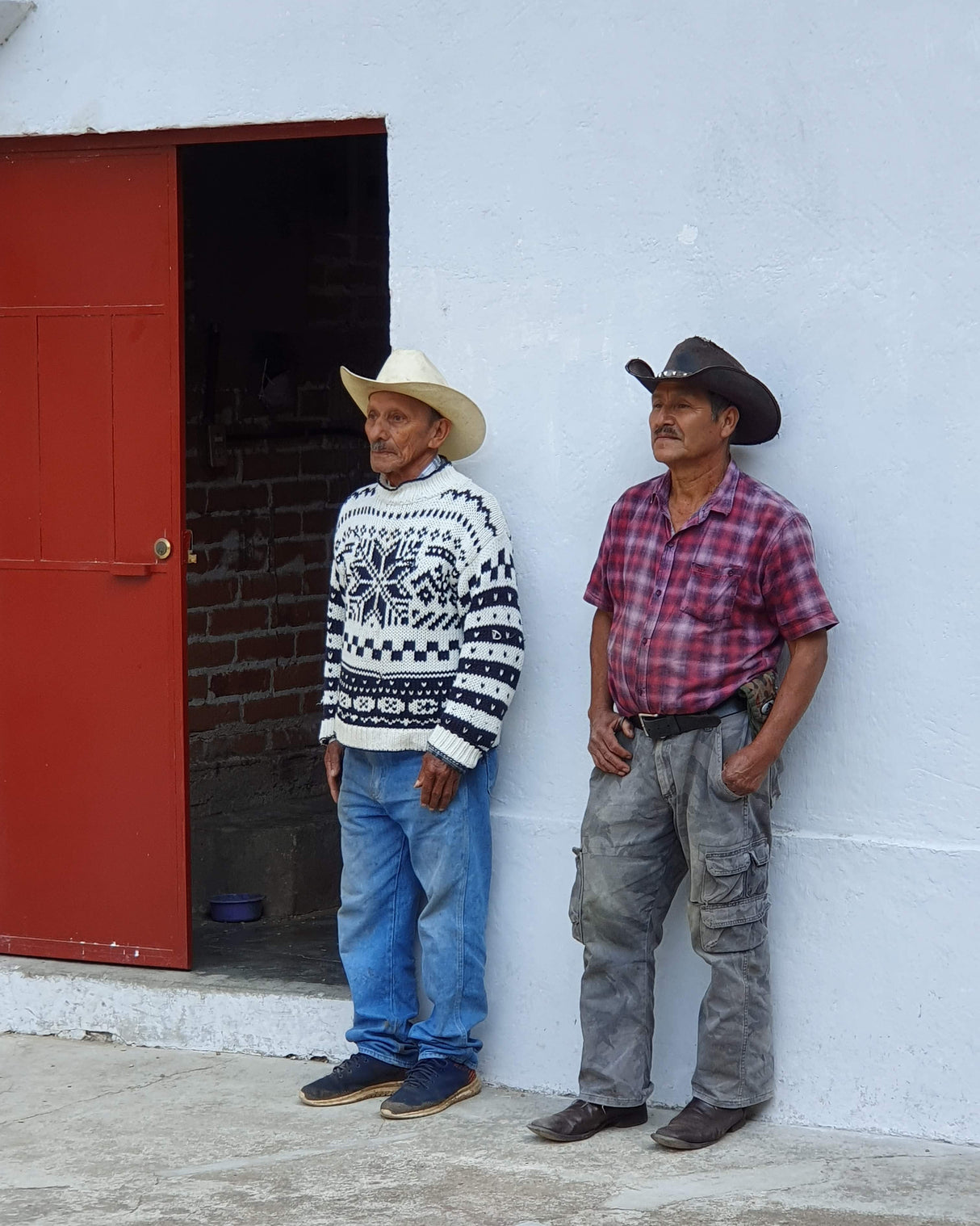 Guatemala Finca El Senegal Don Porfirio