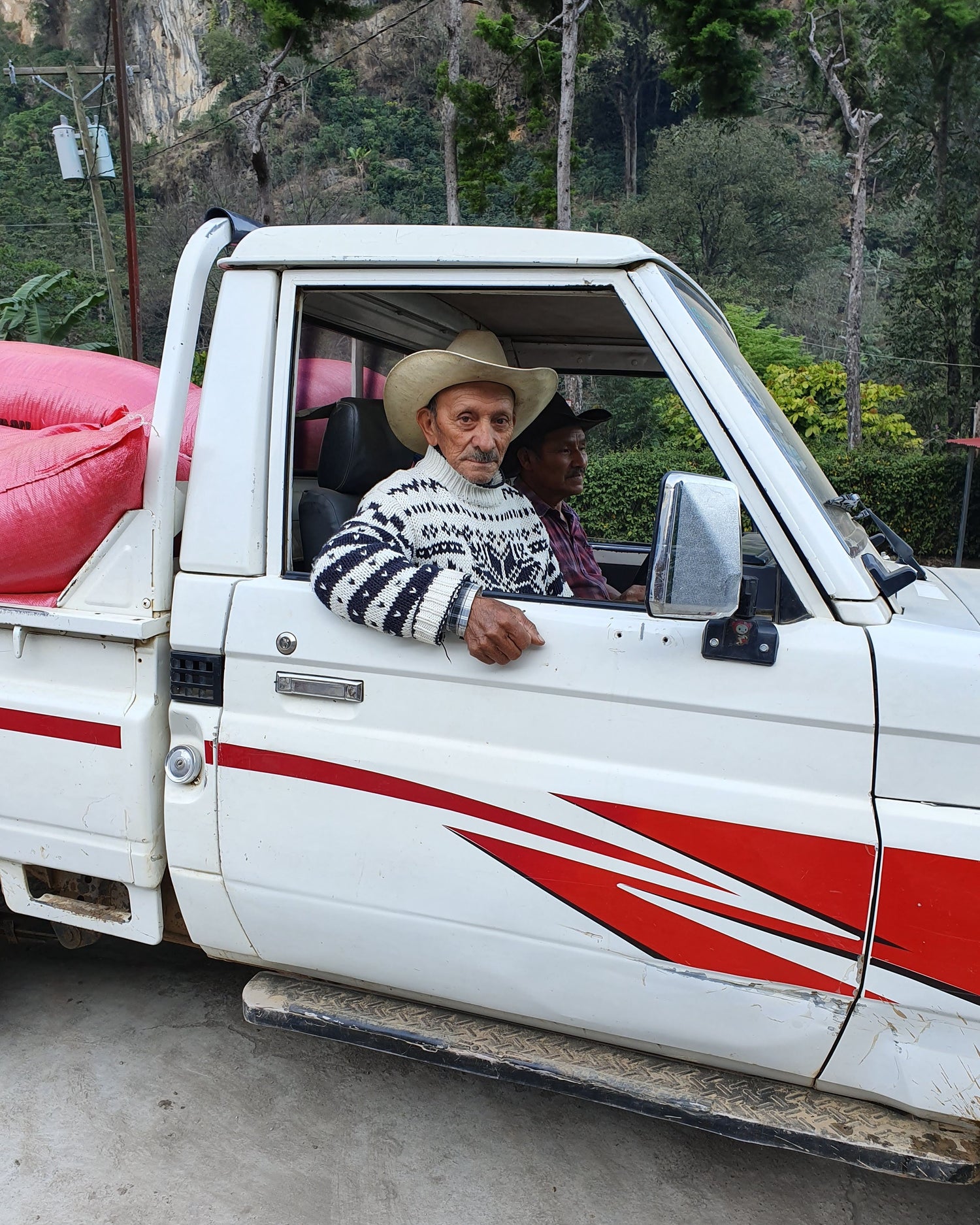 Guatemala Finca El Senegal Don Porfirio