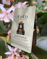 Guatemala Finca El Senegal Don Porfirio