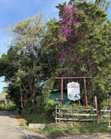 Hacienda La Esmeralda Geisha Natural