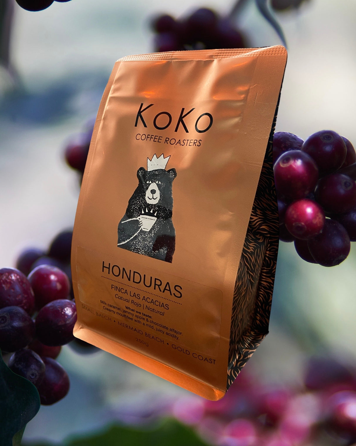 SINGLE ORIGIN ESPRESSO BUNDLE