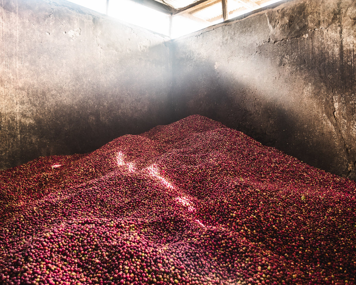 Kenya Gathinja Murang'a PB