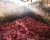 Kenya Gathinja Murang'a PB