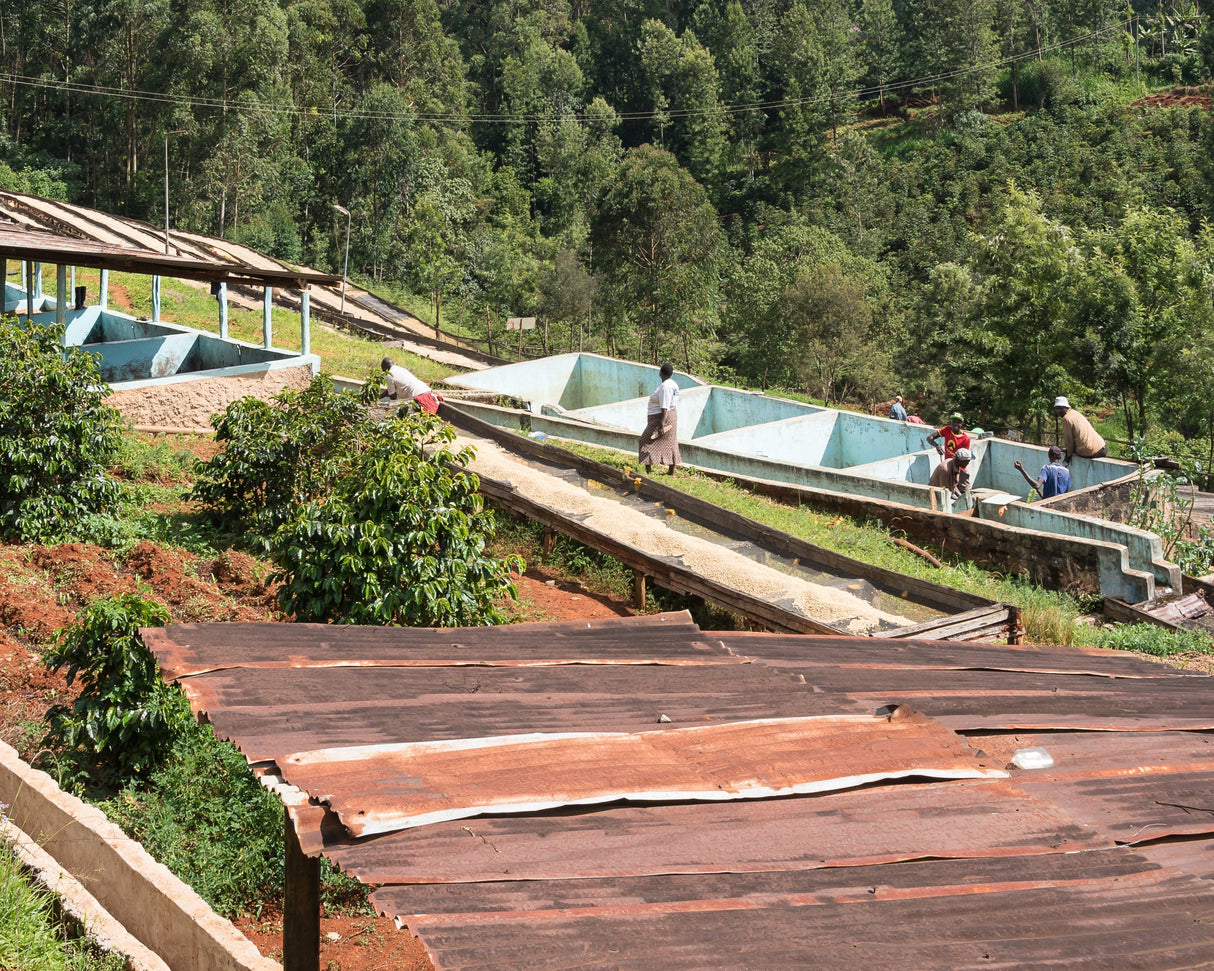 Kenya Gathinja Murang'a PB