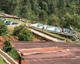 Kenya Gathinja Murang'a PB