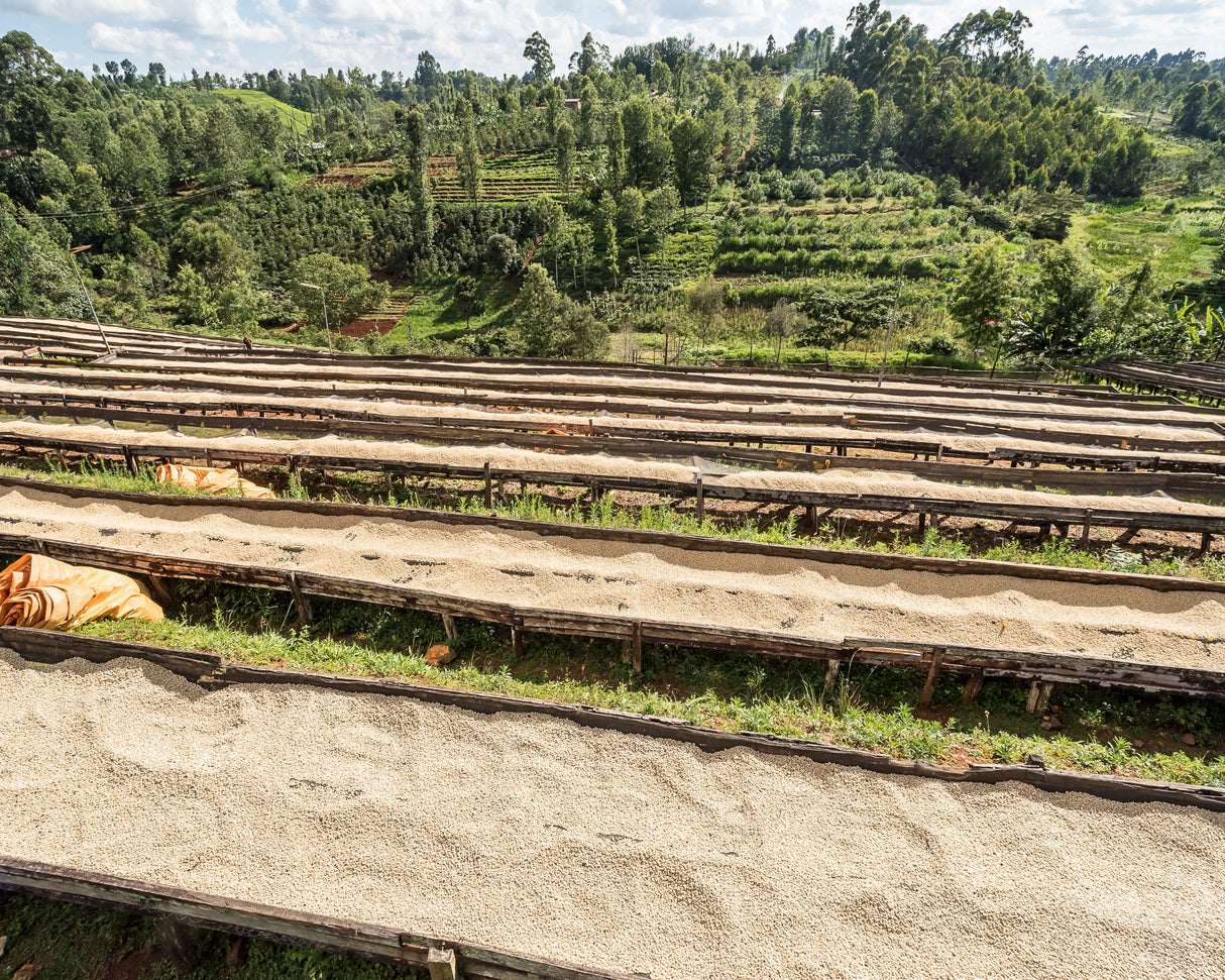 Kenya Gathinja Murang'a PB