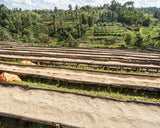 Kenya Gathinja Murang'a PB