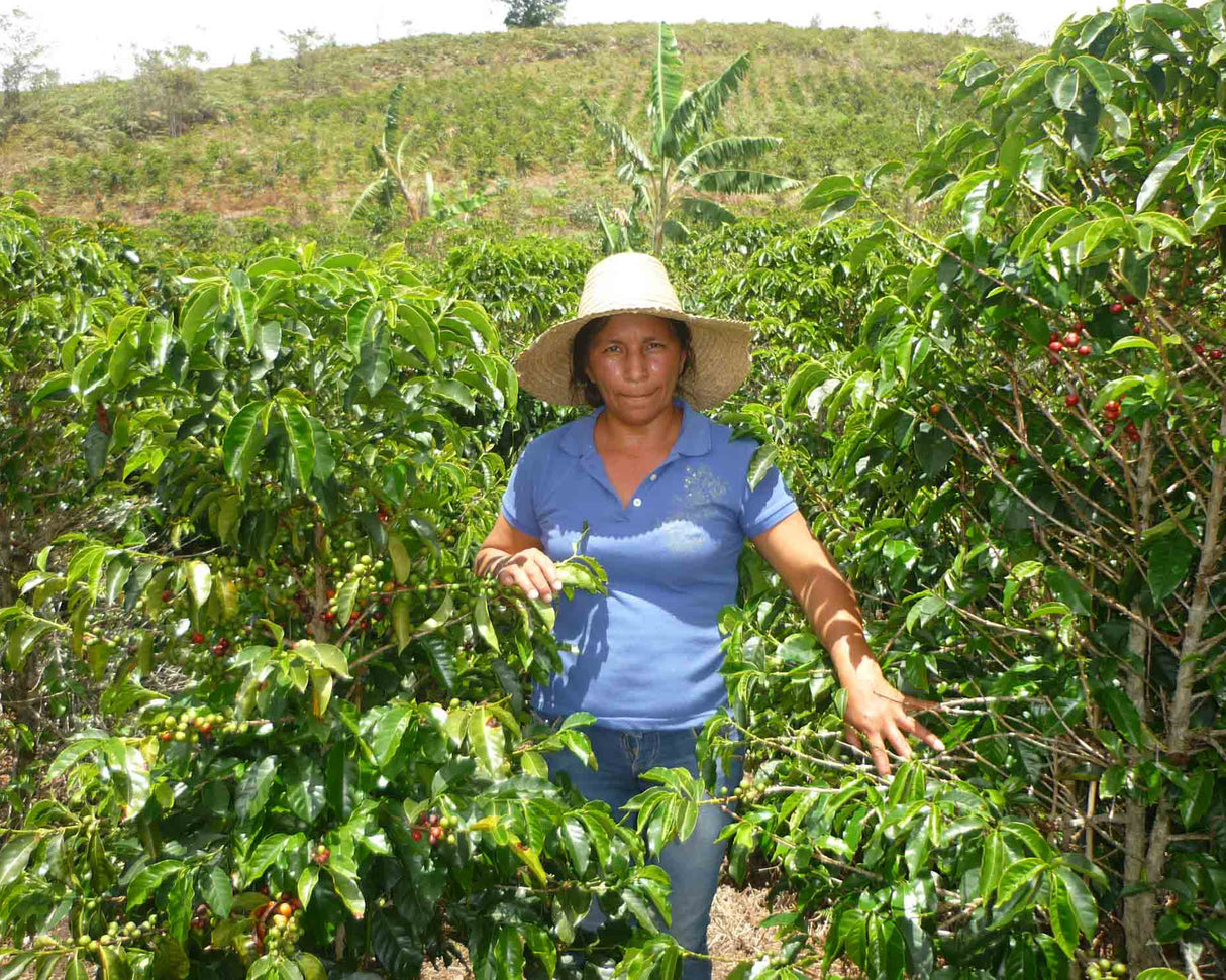 Colombia El Tambo