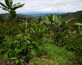 Colombia El Tambo