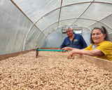 Finca Patio Bonito Special Selection Pairing