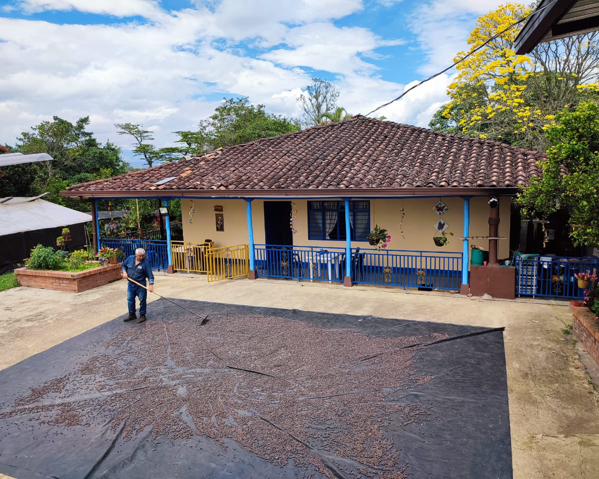 Wush Wush Natural Finca Patio Bonito Colombia