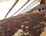 Wush Wush Natural Finca Patio Bonito Colombia