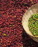 Ethiopia Hafursa Toffee Apple Natural