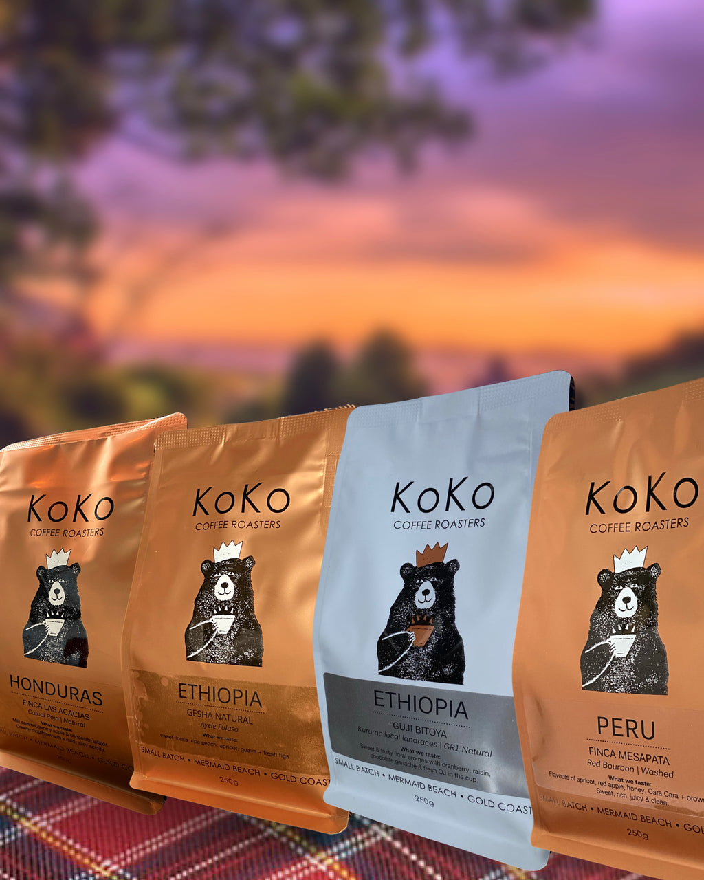 SINGLE ORIGIN FILTER BUNDLE