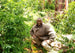 Ethiopia Gesha Natural Ayele Fulasa